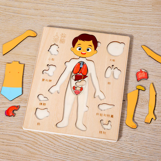 Montessori Puzzles Busy Board, Teaching Human Body Parts for Childrens Learning