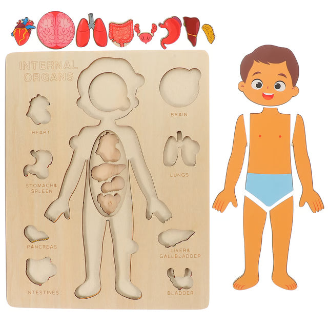 Montessori Puzzles Busy Board, Teaching Human Body Parts for Childrens Learning