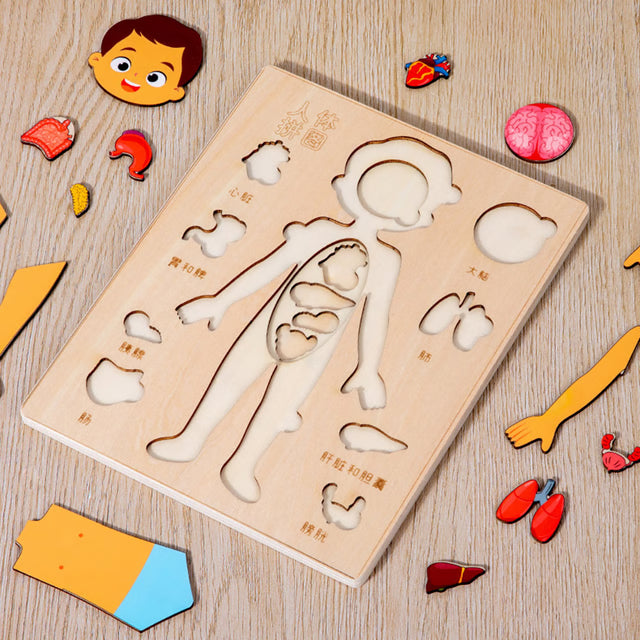 Montessori Puzzles Busy Board, Teaching Human Body Parts for Childrens Learning