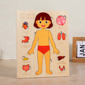 Montessori Puzzles Busy Board, Teaching Human Body Parts for Childrens Learning